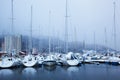 Winter view of a marina in Trondheim at stormy weather Royalty Free Stock Photo