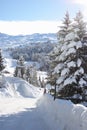 Winter view of a mountain road