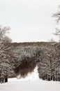 Winter view from the mountain used by skiers for downhill skiing. Royalty Free Stock Photo