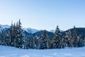 Winter view on mountains and forest in snow from Olympic village in Wistler, BC.