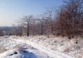 Winter view Royalty Free Stock Photo