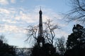 Winter view over the Eiffel Tower silhouette by day, framed with dead tree branches Royalty Free Stock Photo