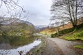 A winter view of the shore line of Grasmere Lake.