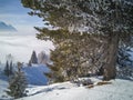 Winter view from the slopes in Alps. Royalty Free Stock Photo