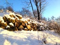 Winter view with sunlighted snow covered pile of stones and trees and bushes around Royalty Free Stock Photo
