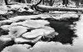 Winter view to frozen brook, icy twigs and icy boulders above rapid stream. Reflections of light in icicles. Black and white Royalty Free Stock Photo