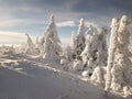 Winter view from the top of Szrenica mountain Royalty Free Stock Photo