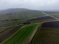 Winter view on Val de Livre en gran cru vineyards of famous champagne houses in Montagne de Reims, Champagne, wine making in Royalty Free Stock Photo