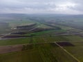 Winter view on Val de Livre en gran cru vineyards of famous champagne houses in Montagne de Reims, Champagne, wine making in Royalty Free Stock Photo