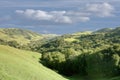 Winter views at Las Trampas Wilderness Regional Park