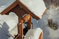 Winter village landscape. A wooden well and a fence in snowdrifts. It& x27;s a sunny, frosty day