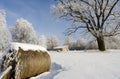 Winter village scenery Royalty Free Stock Photo