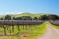 Santa Ynez Valley California USA Royalty Free Stock Photo