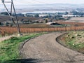 Winter Vineyard Landscape, Napa Valley, California Royalty Free Stock Photo