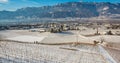 Winter vineyards landscape, covered with snow. Trentino Alto Adige, Italy. Main economic factors are viticulture along the South T