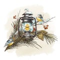 Winter vintage greeting card with rustic lantern, titmouse, fir branches, retro sleigh