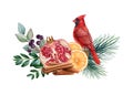 Winter Vintage Style Decor With Red Cardinal Bird. Watercolor Illustration. Hand Drawn Wintertime Floral Festive