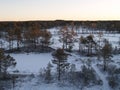 Winter in Viru bog