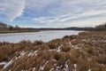 Winter walk around the pond Royalty Free Stock Photo