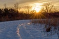 Winter walk at golden hour