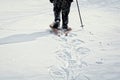 A winter walk in the snow