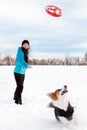 Winter walk in the snow, woman is playing flying disc or frisbee with her dog Royalty Free Stock Photo