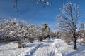 Winter walking path through a city park