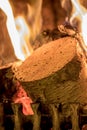 Winter warmth. Birch wood log burning on an open fire