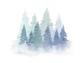 Winter watercolor fir trees in the fog. Hand drawing