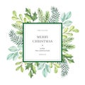 Winter watercolor label with greenery branches, eucalyptus, holly and fir-tree. Happy new year and Merry christmas card. Perfect