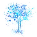 Winter watercolor tree. Blue trees with splashes and ink sketched illustration. Winter tree concept