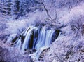 Winter waterfall and tree in jiuzhaigou