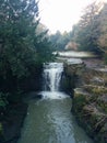 Winter waterfall trees winter cold jesmond