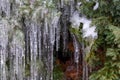 Winter waterfalls cover in the garden