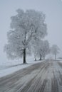 Winter way Royalty Free Stock Photo