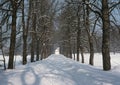 Winter way back Royalty Free Stock Photo