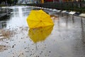 Umbrella broken by the wind with raindrops on the wet asphalt road. Winter weather, Israel