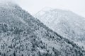 Winter weather, mountains with fir trees, covered with snow, fog descends from above, beautiful natural background. Royalty Free Stock Photo