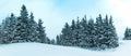 Winter weather with snowdrifts and fog in the mountain spruce forest. Trees curved under the weight of snow Royalty Free Stock Photo