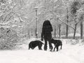 Winter weather, snowstorm, city, woman with dogs