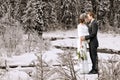 Winter wedding Royalty Free Stock Photo