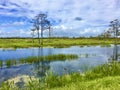 Louisiana Cypress Swamp and river