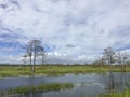 Louisiana Cypress Swamp and river