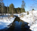 Winter wetland stream under clear blue sky in FingerLakes