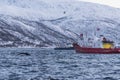 Winter Whale safari TromsÃÂ¸ Royalty Free Stock Photo