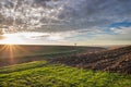 Winter wheat field Royalty Free Stock Photo