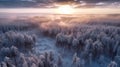 Winter Whispers: Aerial Serenity in Finnish Forest