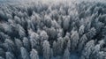 Winter Whispers: Aerial Symphony of a Serene Finnish Forest