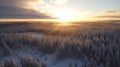 Winter Whispers: A Breathtaking Aerial Perspective of a Sparse Finnish Forest