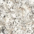 Winter white camouflage, modern fashion design. Army uniform. Camo military grunge dry brush pattern. Royalty Free Stock Photo